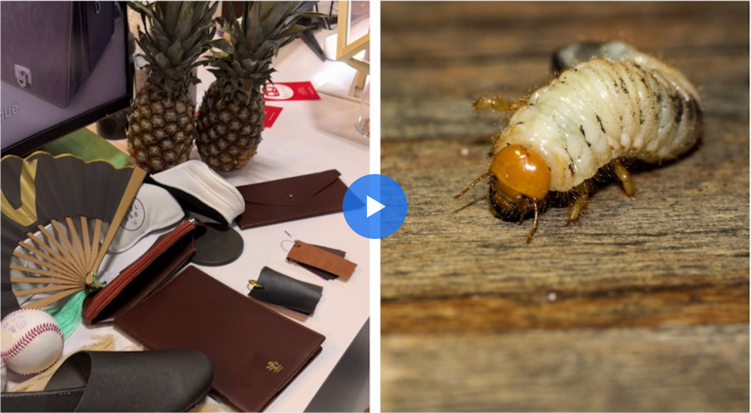 Cele mai neobișnuite produse de la CES 2024. De la insectele comestibile, crescute de roboți cu AI, la gențile din piele obținută din ananas